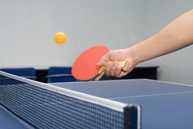Ovidiu Ionescu şi Daniela Dodean Monteiro au câştigat medaliile de aur în proba de dublu mixt a Campionatului Naţional de tenis de masă