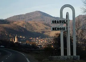 Stare de alertă în unitățile MAI din județul Buzău. Un cioban din zona Nehoiu a anunțat că un avion s-a prăbușit