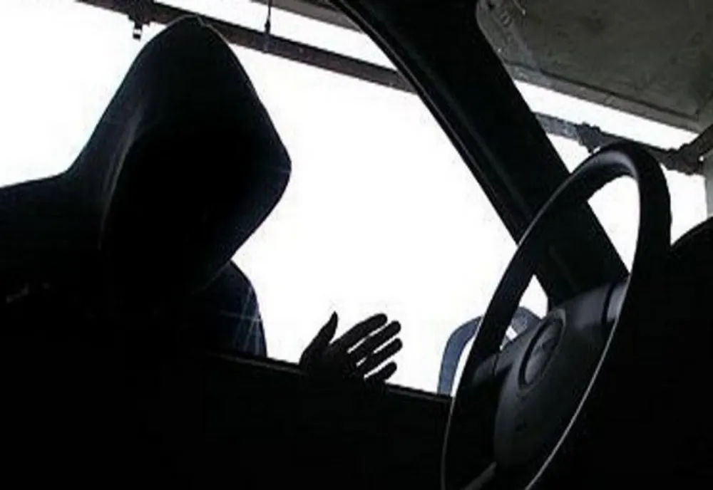 Doi adolescenți din Buzău, spaima polițiștilor. Au furat tot ce le-a picat în mână