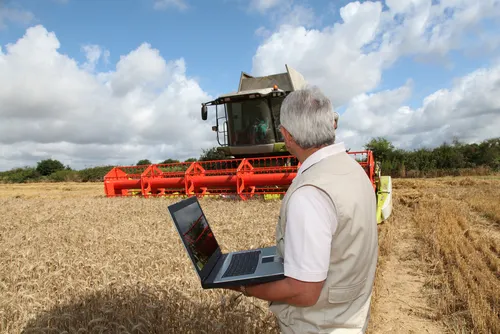 Producătorii din Buzău își pot posta anunțuri de vânzare pe site-ul Direcției Agricole