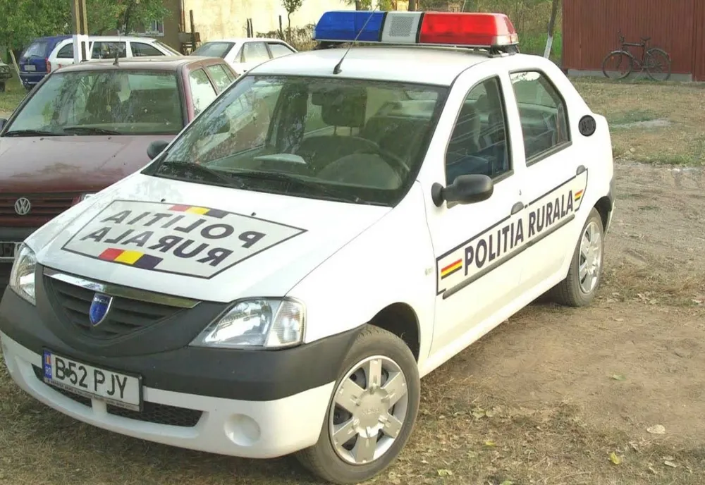 Trei tineri au furat 400 kg de porumb din podul unei locuințe dezafectate