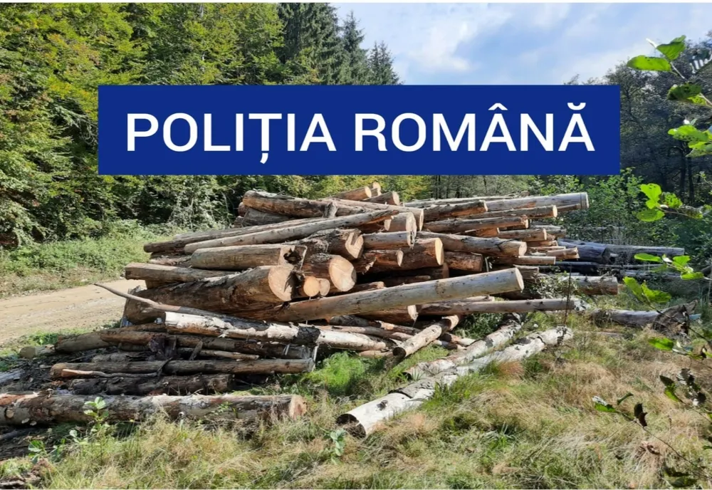 Delicte silvice