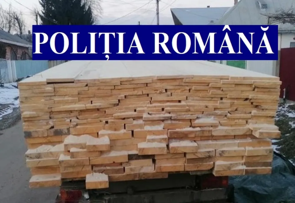 Controale pe linia delictelor silvice