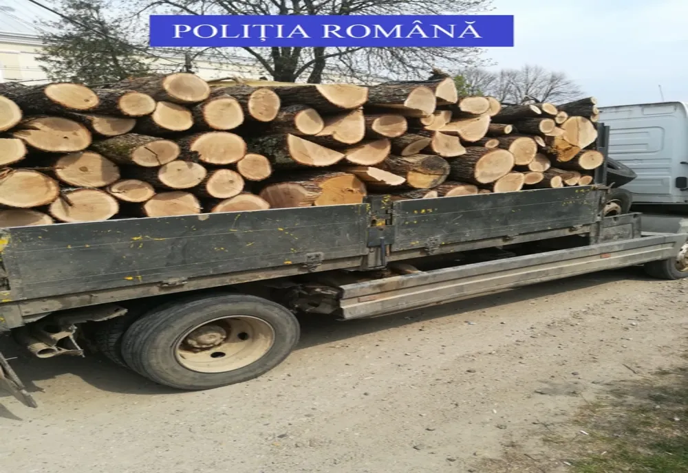 Polițiștii buzoieni au reţinut 4 permise de conducere pentru nerespectarea interdicţiei privind masa totală maximă admisă 
