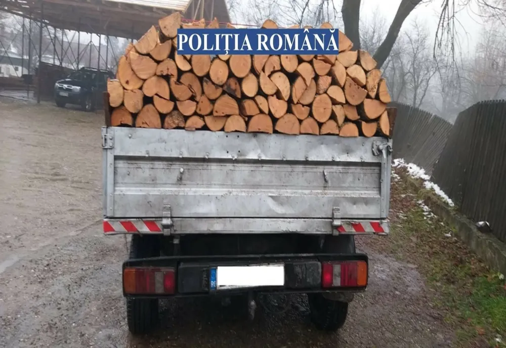 Nereguli silvice sancționate de polițiști  