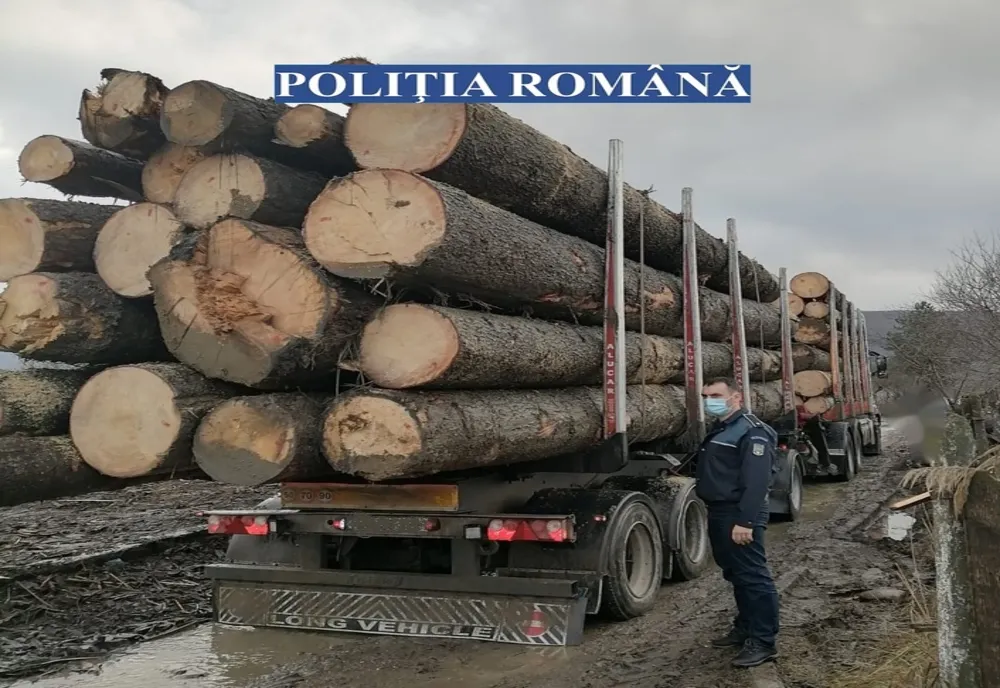 Sancţiuni de 35.000 de lei şi material lemnos estimat la 25.000 de lei confiscat de poliţiştii Biroului pentru Protecția Fondului Forestier și Piscicol de la Buzău