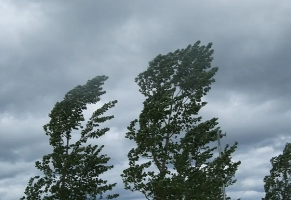 Avertizare meteo de vânt puternic