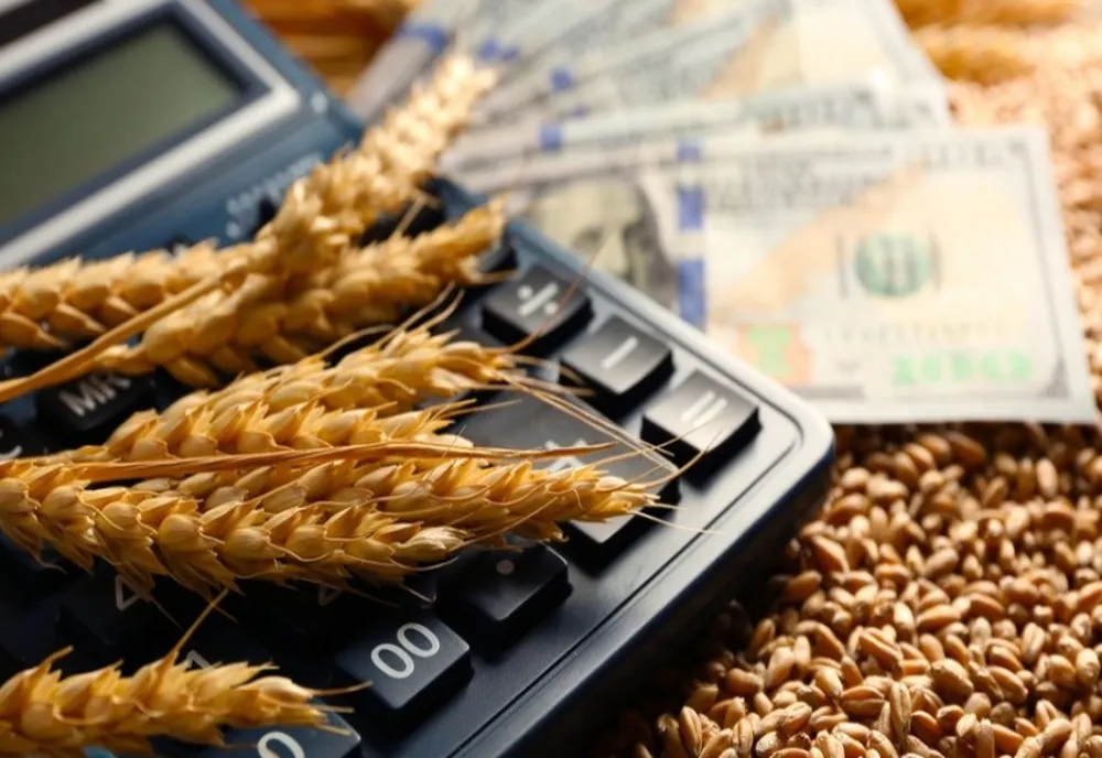 Ministrul Agriculturii la Realitatea Plus. Prin schemele de sprijin urmărim ca cerealele să nu mai plece la export