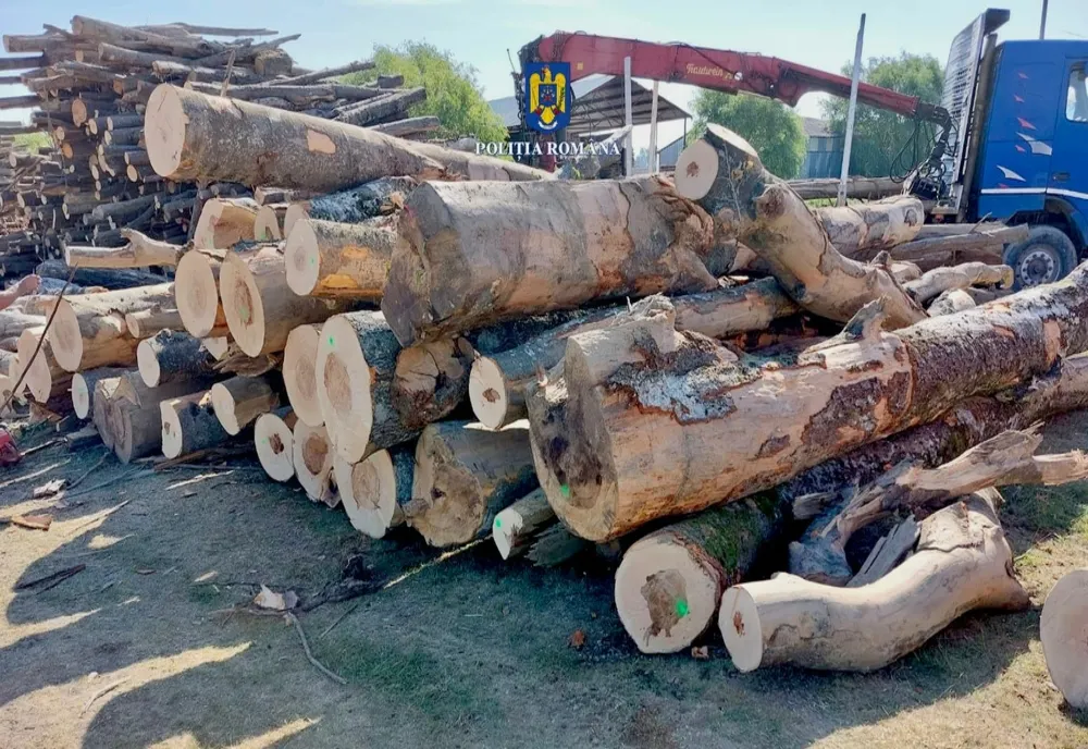 Control la o societe comercială cu obiect de activitate depozitarea şi comercializarea materialelor lemnoase