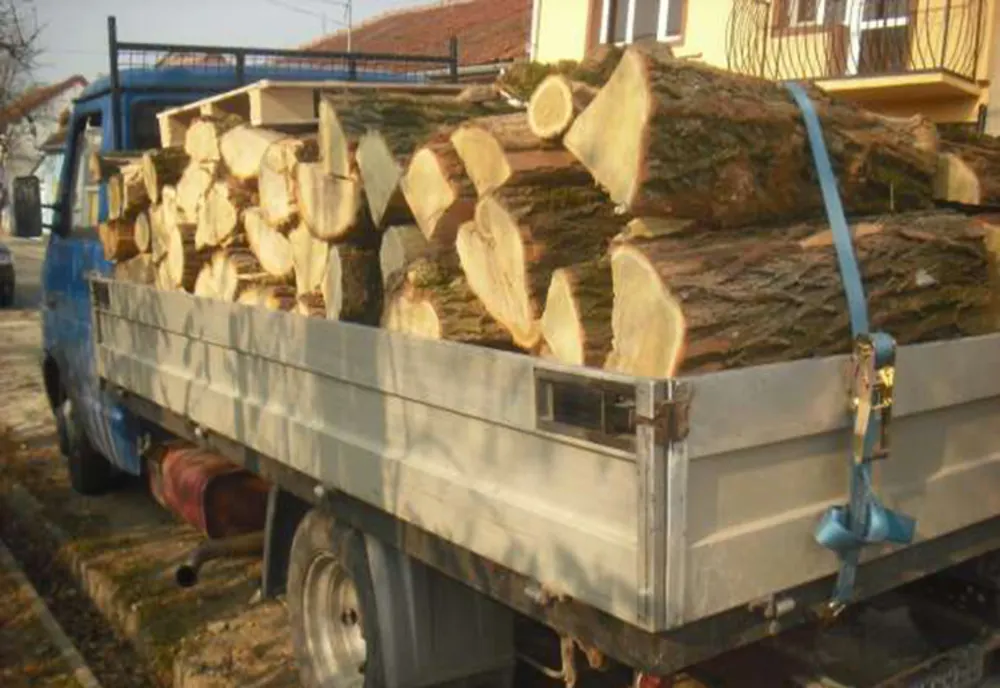 Transporta cu o autoutilitară lemn de foc, dar era în afara legii atât în ceea ce priveşte încărcătura maşinii, cât şi documentele personale