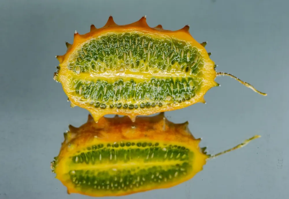 Kiwano, un tip de castravete țepos din zona subtropicala a Africii, a început să fie produs la Buzău