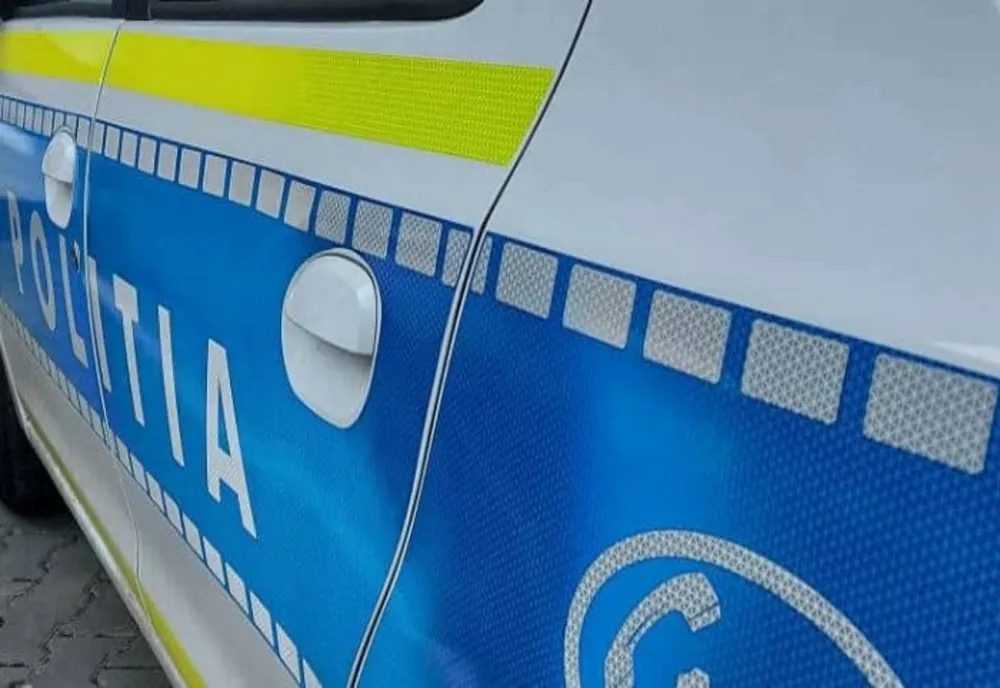 Surprins în flagrant când fura cărămizi de pe un teren din Pietroasele