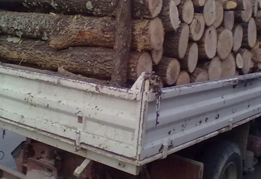 Transport de material lemnos sancţionat de polițiștii din cadrul Secției de poliție rurală Beceni