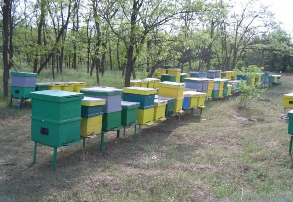 Bănuit că a furat 50 de stupi cu albine depistat de polițiștii râmniceni