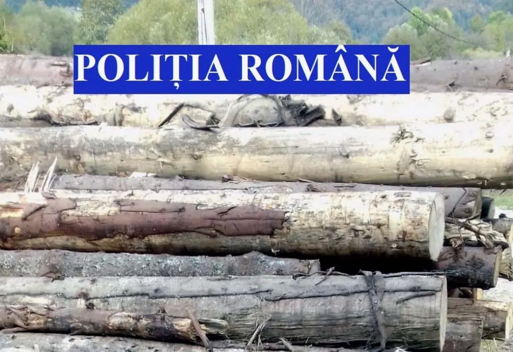 Înregistrările din aplicația SUMAL prezentau neconcordanţe cu privire la vehiculul de transport utilizat