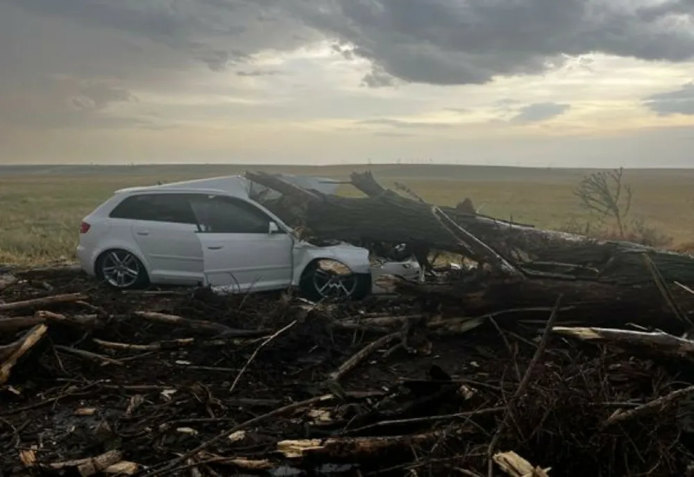 COPAC DOBORÂT DE VÂNT, PRĂBUȘIT PESTE O MAȘINĂ CU DOI COPII ȘI DOUĂ FEMEI, ÎN TELEORMAN