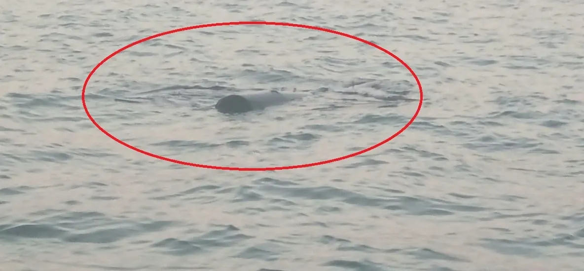Alertă la Constanța. Un obiect suspect a fost identificat plutind pe mare