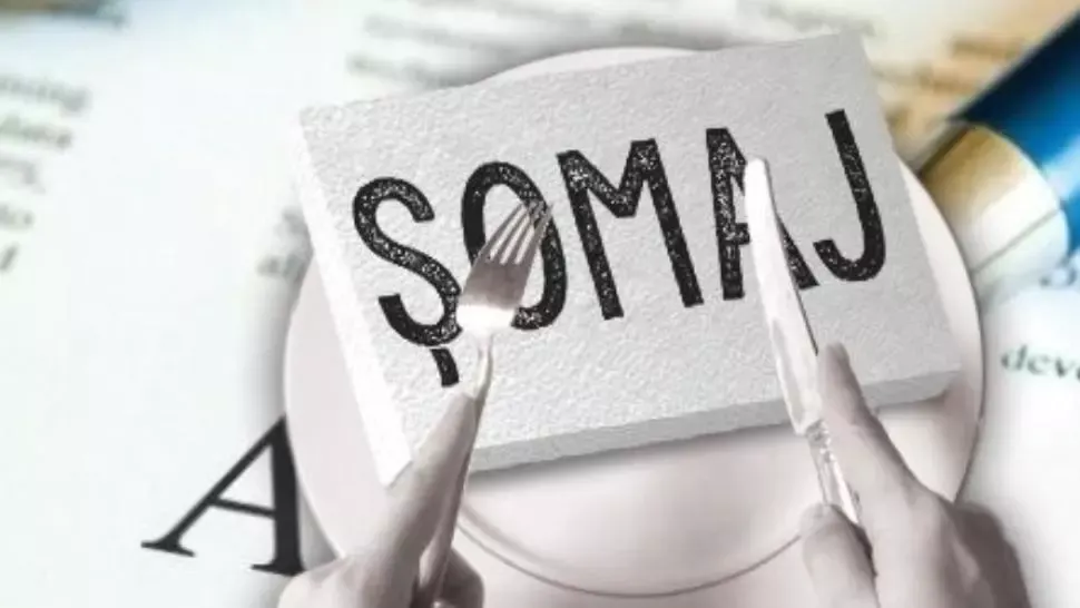 Rata șomajului a scăzut la 3,25% în martie 2026. Câți români sunt fără loc de muncă