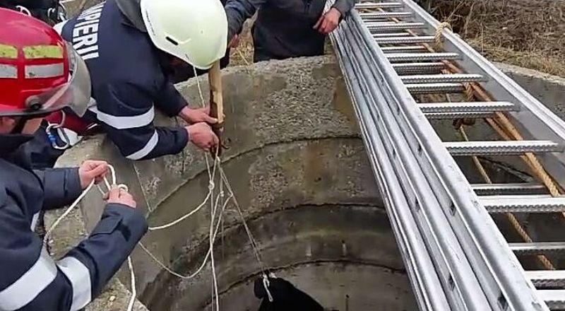 Descoperire macabră într-o fântână din Padina