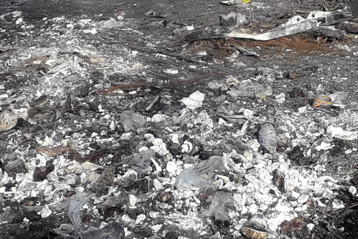 Video Autoritatile, in alerta. Focar de infectie la marginea orasului