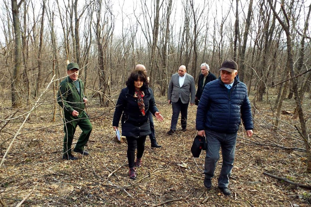 Prefecta Carmen Ichim verifică personal tăierile arborilor din Crâng