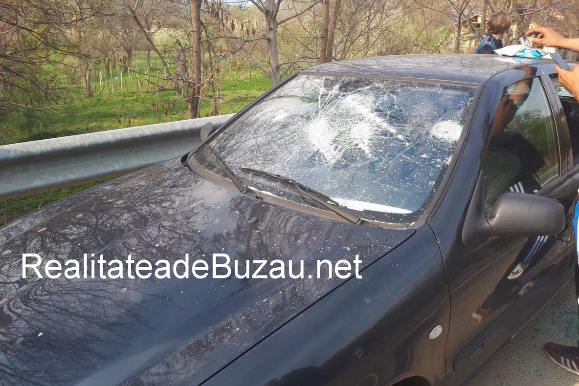 Bătaie între suporteri, la Ciuta