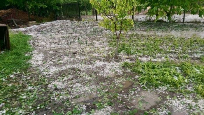 Culturi distruse de ploaia cu piatră. Localnicii sunt disperați