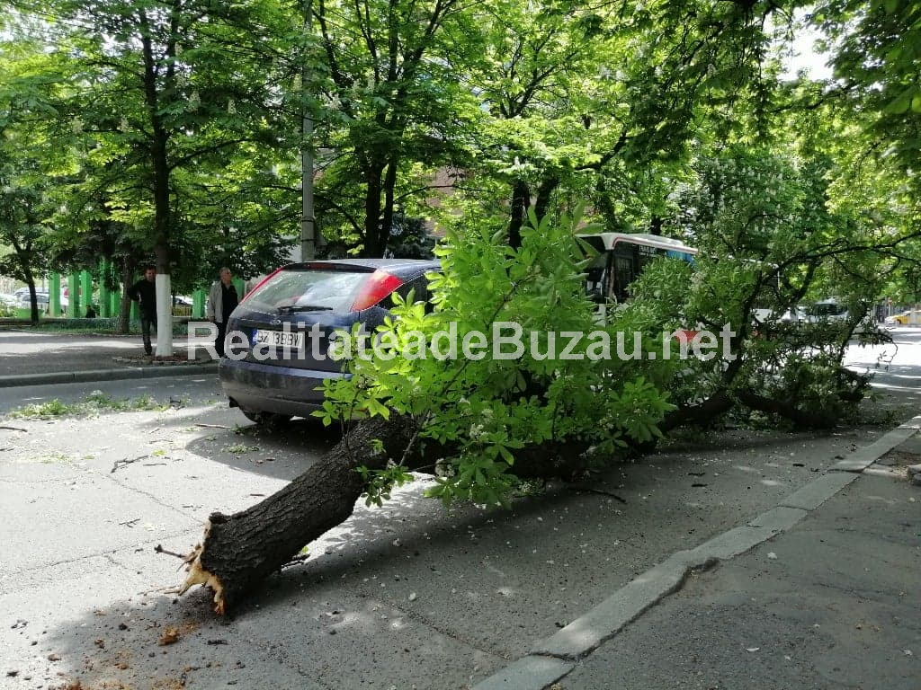 Mașină avariată de o creangă căzută, pe Bulevard