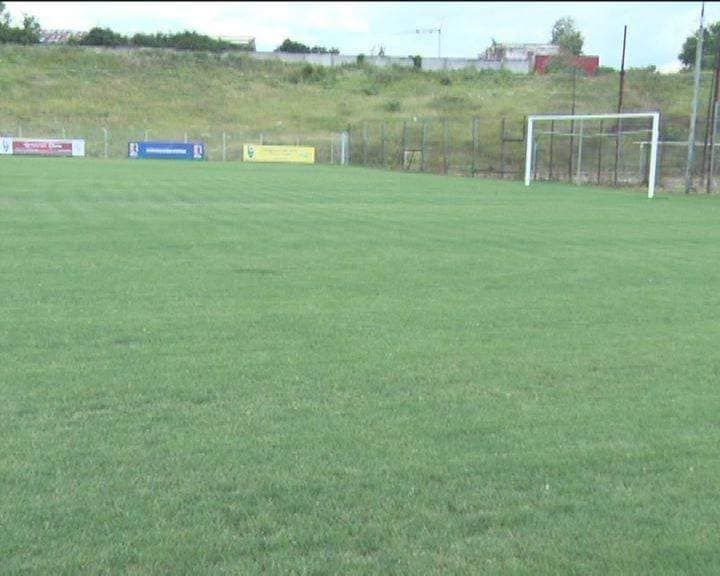 De la “șerpărie”, la Academie