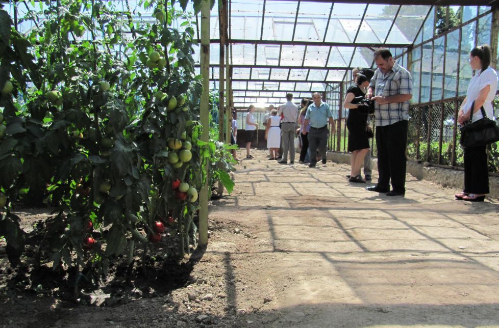 "Aromat de Buzău", nou produs minune al cercetării locale