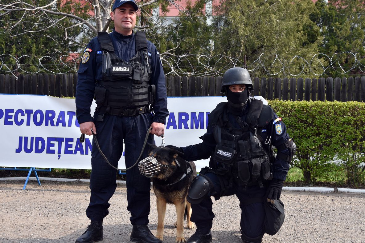 Unul dintre cei mai iubiți câini de la IJJ Buzău s-a "pensionat" astăzi