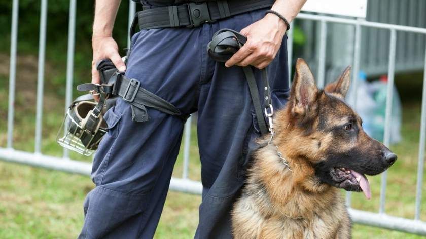 11 asistați au fugit dintr-un centru de plasament. Ce i-a determinat să părăsească instituția?