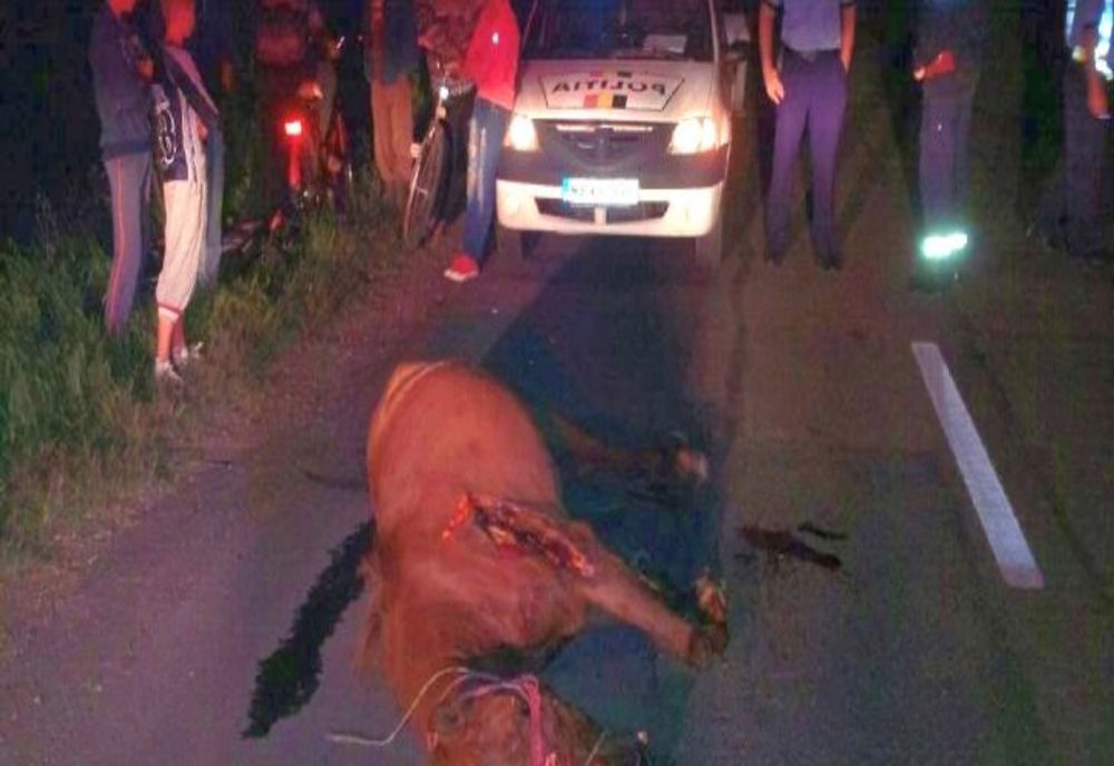 Accident teribil la Cândești. Un șofer a lovit în plin trei cai