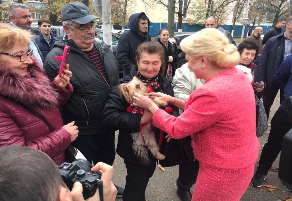 Aplauze, dar și admonestări, pentru Viorica Dăncilă