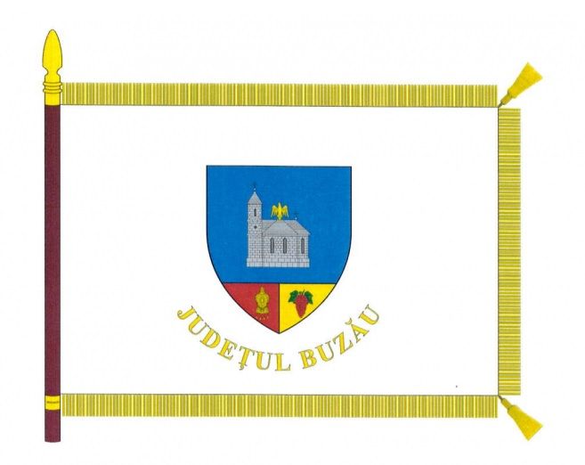 Județul Buzău va avea un nou steag
