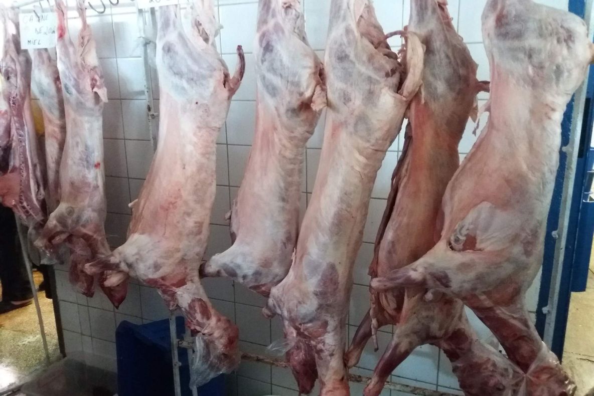 Veste bună pentru buzoieni. De vineri vor începe vânzările de carne de miel în Piața de Lactate