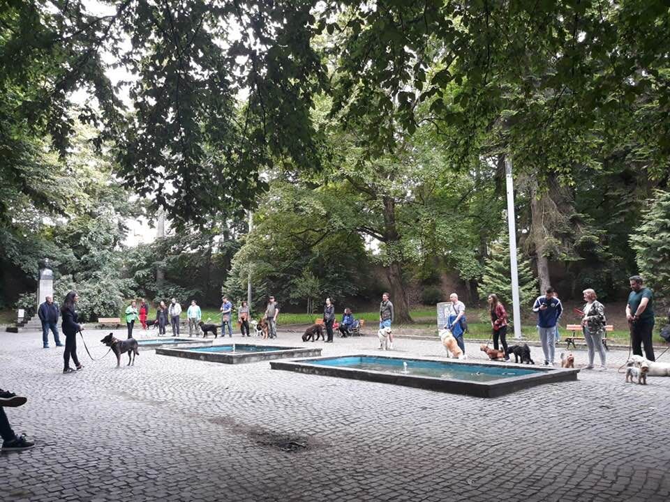 1 Iunie aduce relaxarea restricțiilor