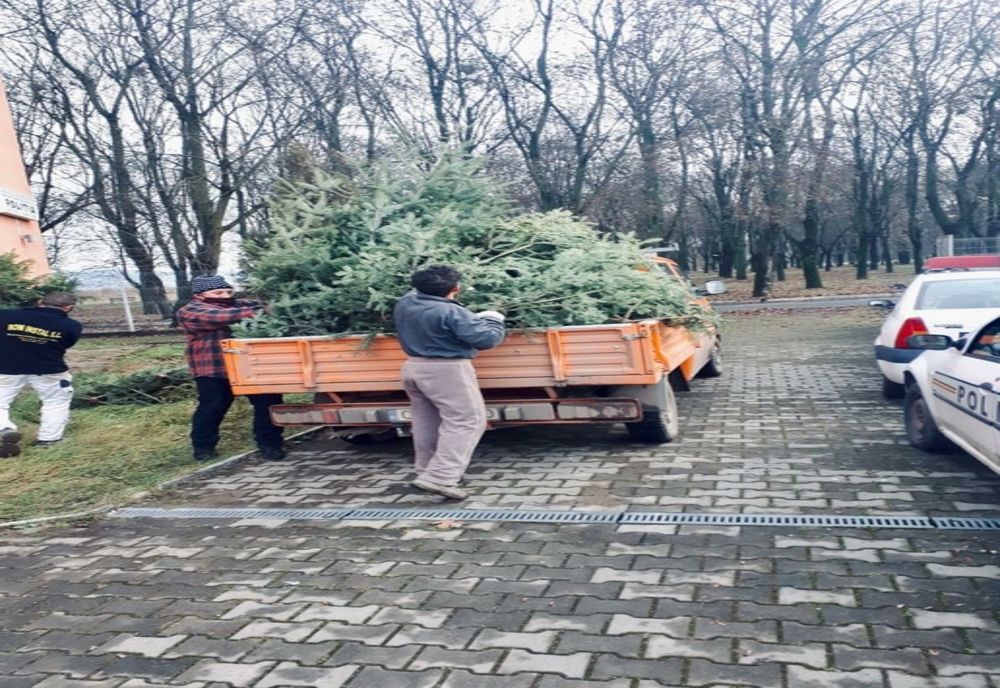 Polițiștii buzoieni acționează pentru prevenirea delictelor silvice