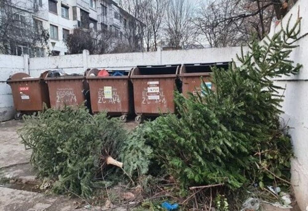 Colectarea brazilor aruncaţi din locuinţe se face după program