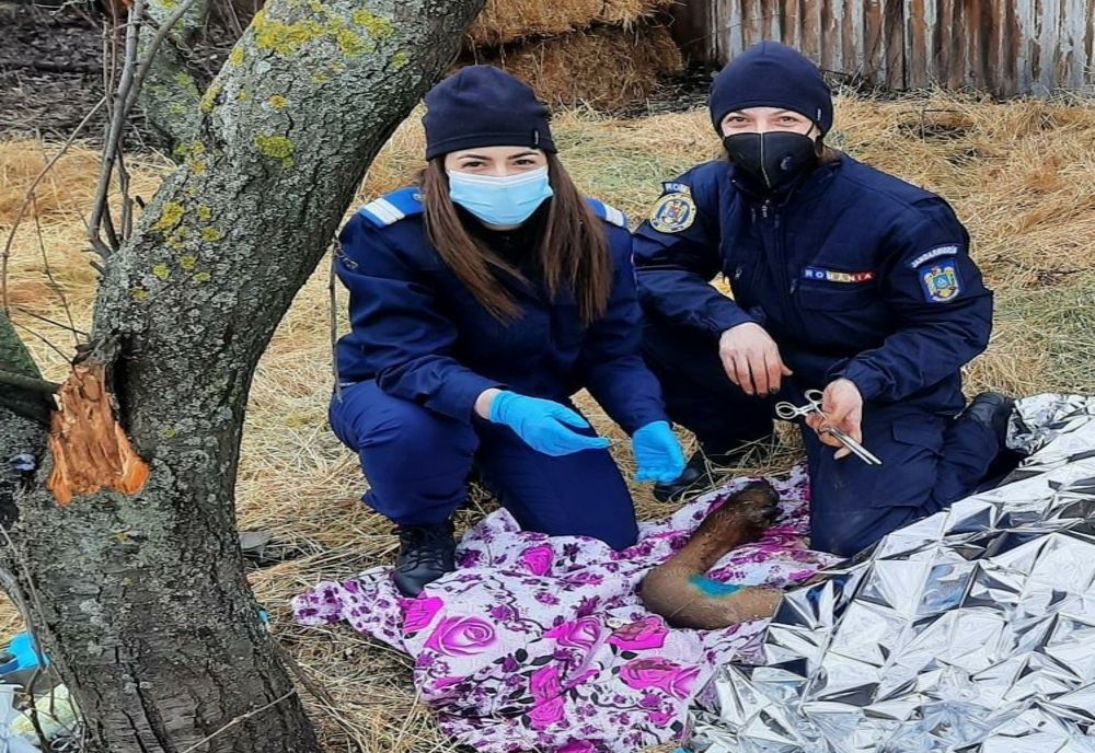 Cerbul salvat de jandarmii buzoieni a fost botezat
