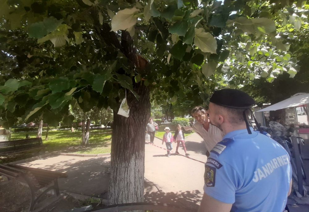 Intervenție mai puțin obișnuită pentru jandarmii buzoieni!