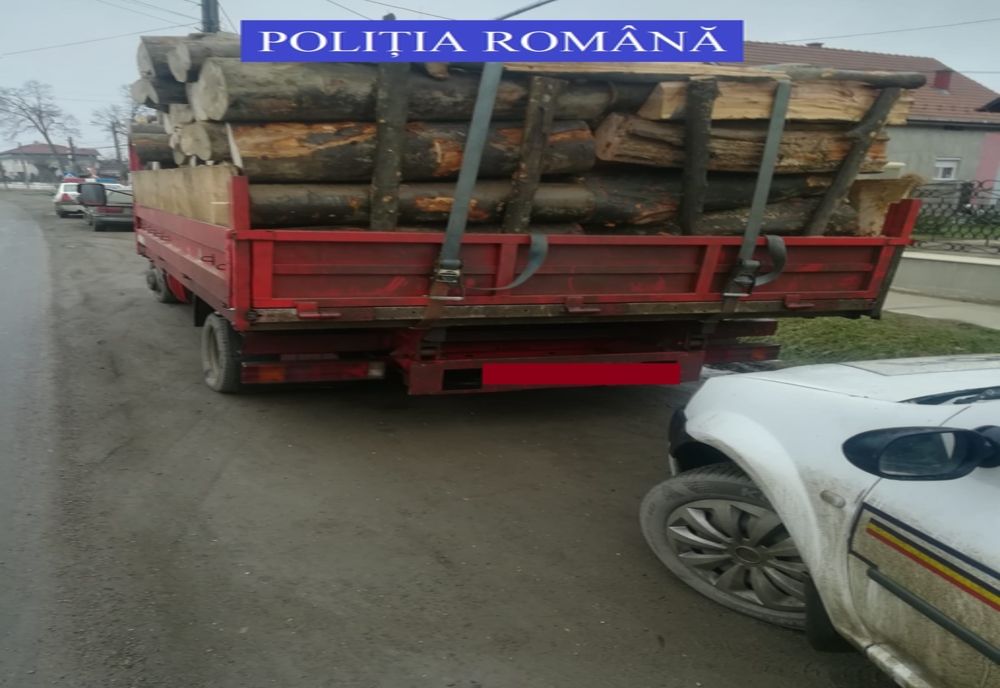 Transporta aproximativ 6 mc de material lemnos esență rășinoase fără aviz de însoțire a mărfii