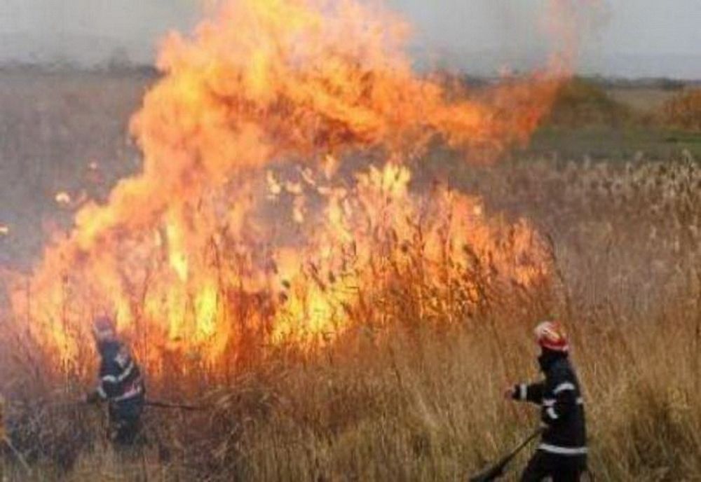 Campania agricolă de vară 2021 - Reguli şi măsuri de prevenire a incendiilor