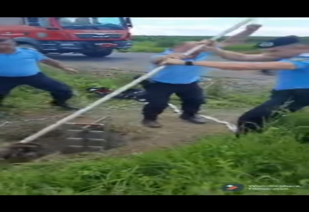 Bursuc salvat de jandarmi