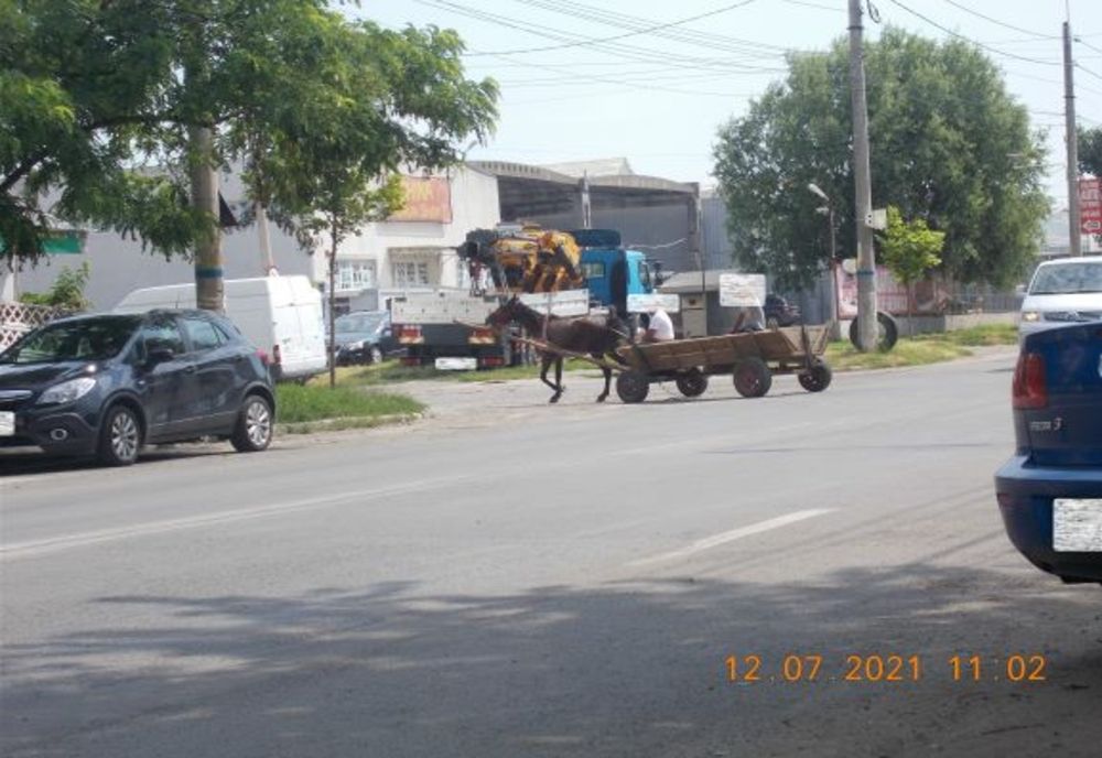 În cursul zilei de ieri au fost aplicate 38 de sancţiuni contravenţionale pietonilor, bicicliştilor şi căruţaşilor