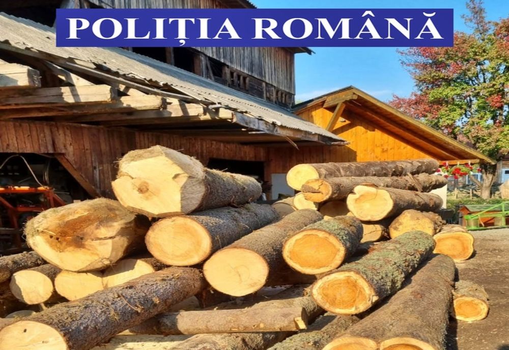 Dosar penal întocmit de poliţişti pentru infracțiuni la regimul silvic