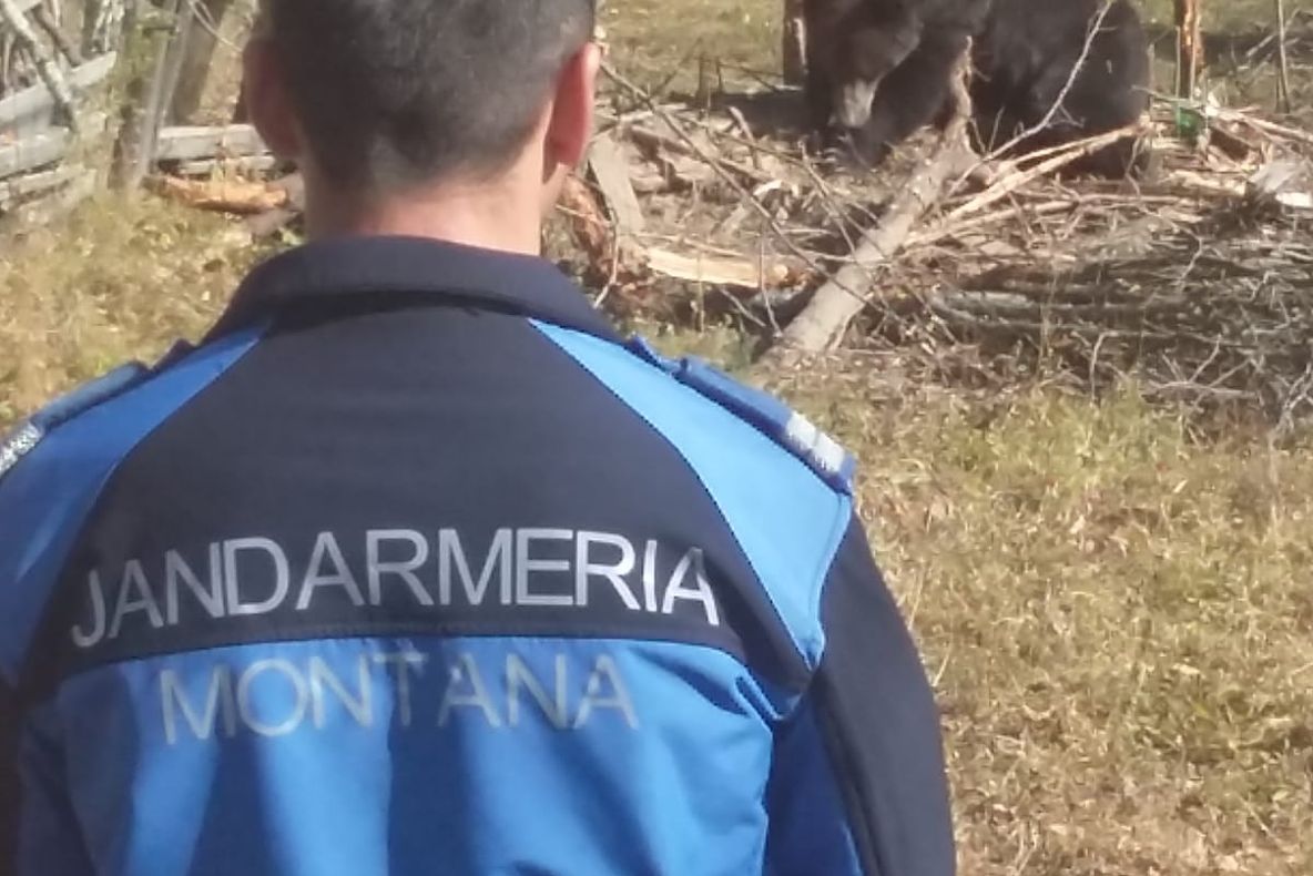 5 octombrie: 20 de ani de la înființarea Jandarmeriei Montane