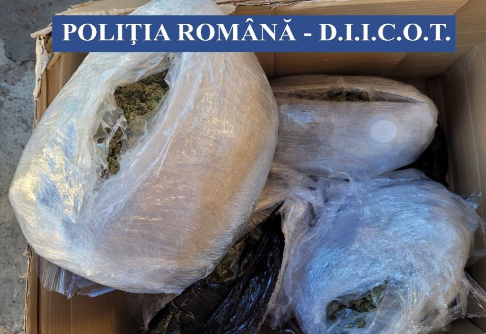 Prins în flagrant delict cu peste 10 kg de canabis, disimulate în colete de curierat 