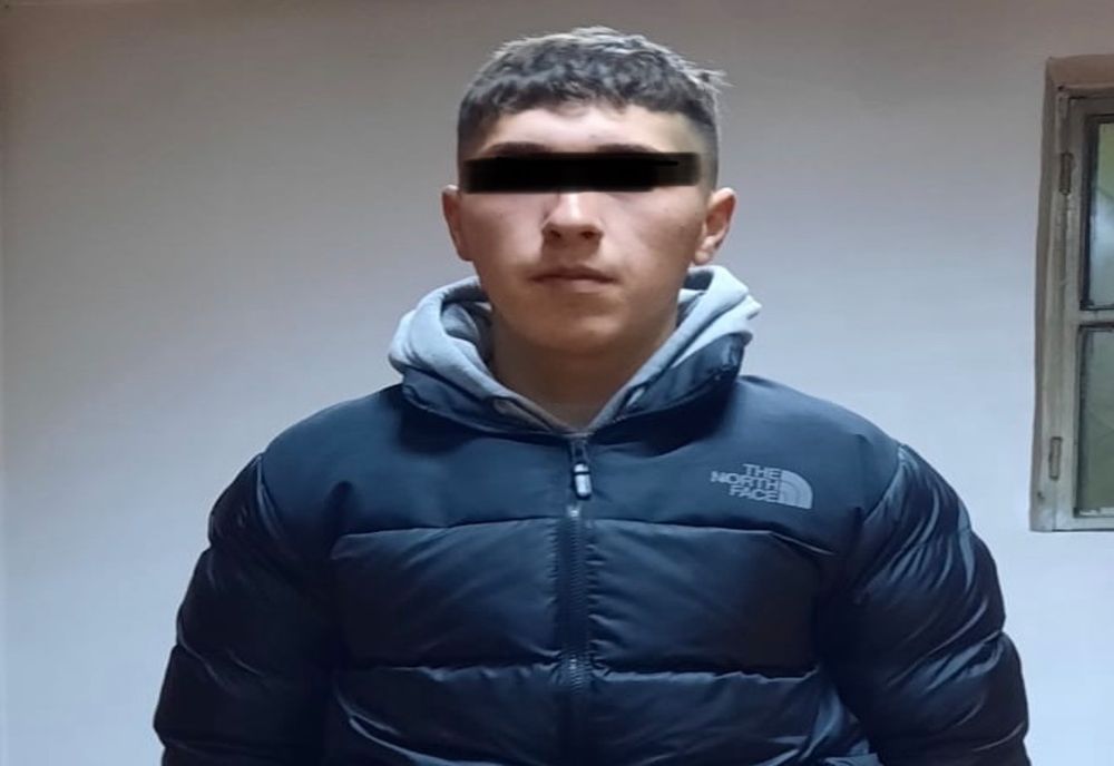 A vandalizat figurinele luminoase de pe Centru  