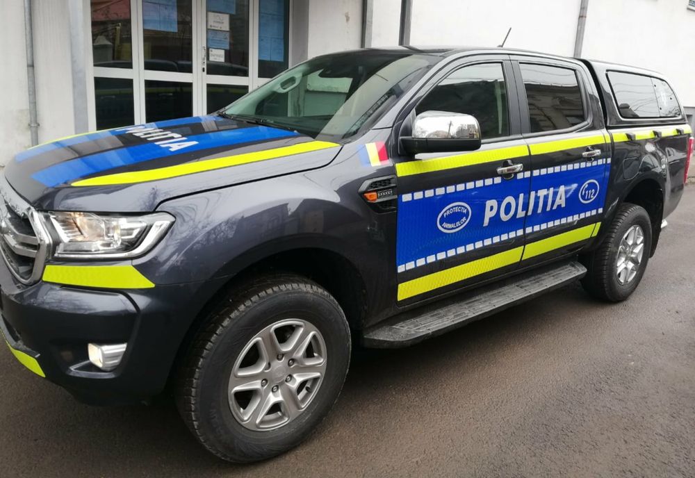 Ciobănesc mioritic, recuperat şi restituit proprietarului de către poliţiştii Secţiei de poliţiei rurală Vipereşti  